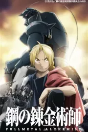 Стальной алхимик: Братство / Fullmetal Alchemist: Brotherhood