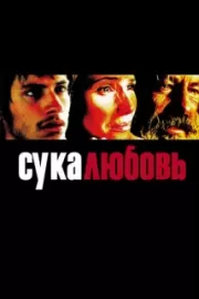 Сука-любовь / Amores perros