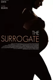 Суррогатная мать для звезды / The Surrogate