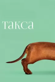 Такса / Wiener-Dog