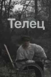 Телец / Телец