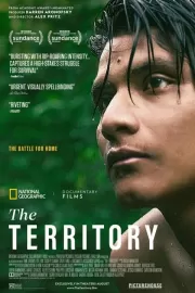 Территория / The Territory