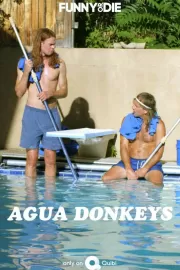 Водные ослы / Agua Donkeys