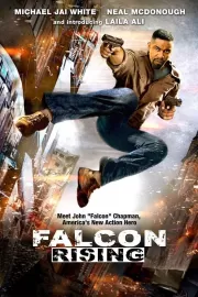 Восхождение Сокола / Falcon Rising