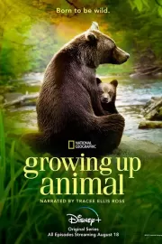 Взрослеющее животное / Growing Up Animal