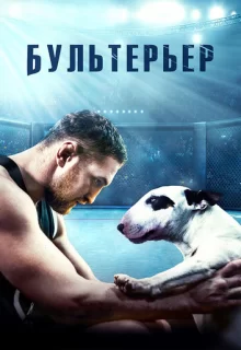 Бультерьер / Бультерьер