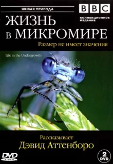 BBC: Жизнь в микромире / Life in the Undergrowth