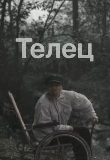 Телец / Телец